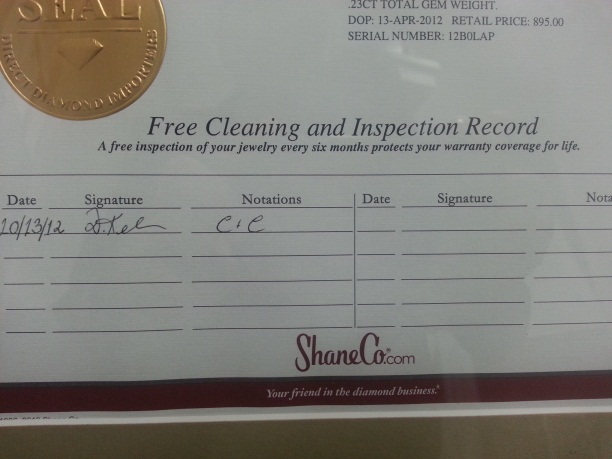 Cleaning and inspection record