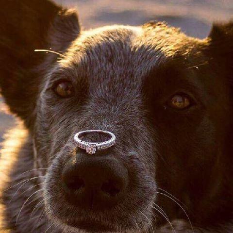 curalate-image-1450903260547