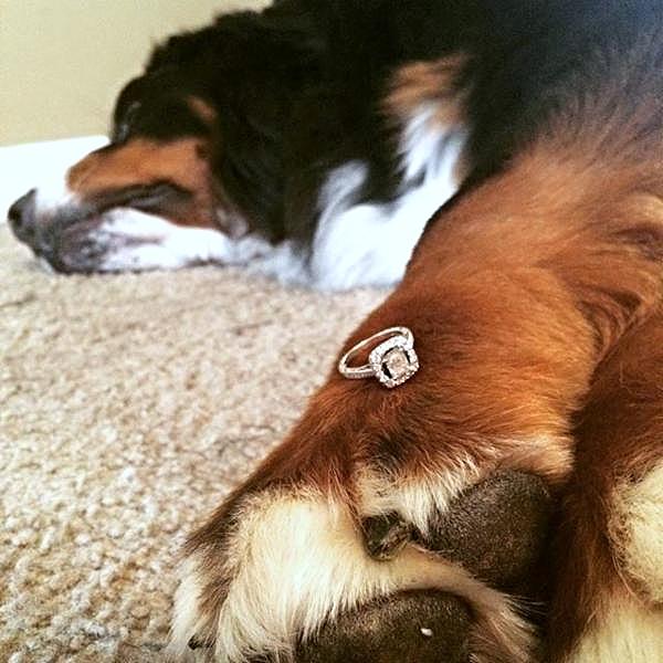 curalate-image-1450903291935