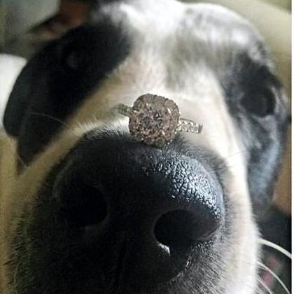 curalate-image-1450903336286