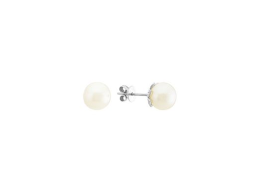 Cultured freshwater pearl stud earrings