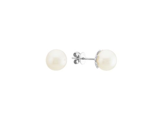 Cultured Freshwater Pearl Studs
