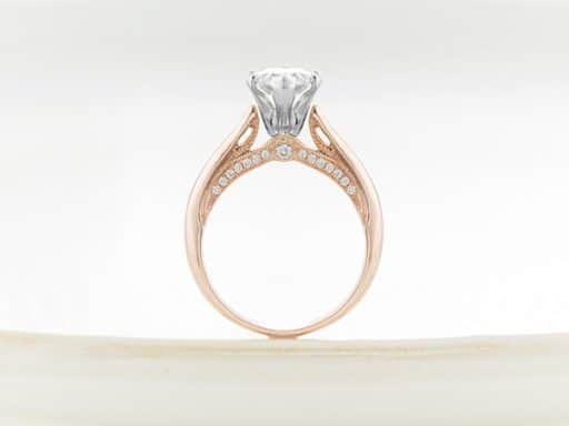 Cathedral Embellished Solitaire Diamond Engagement Ring