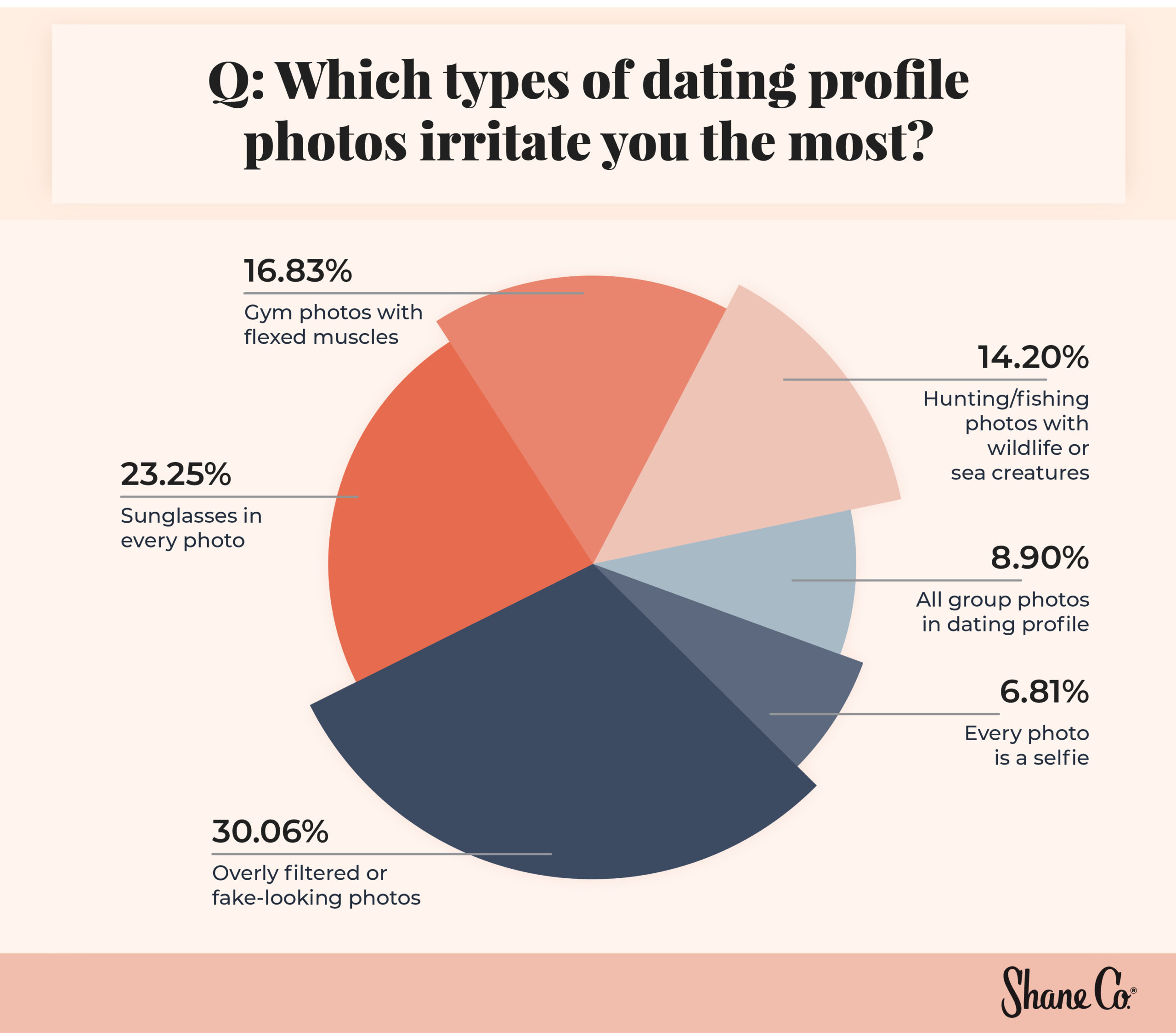 Pie chart showing which types of dating profile photos irritate someone the most.