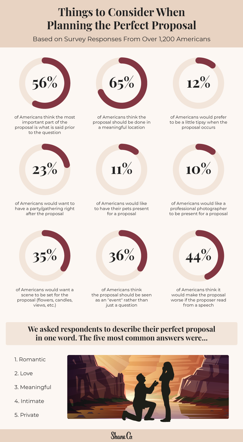 A graphic that displays respondent opinions on what would make the perfect proposal