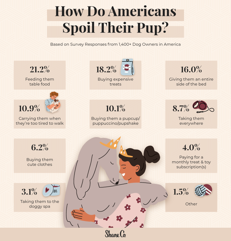 Cluster chart displaying the different ways Americans spoil their dogs