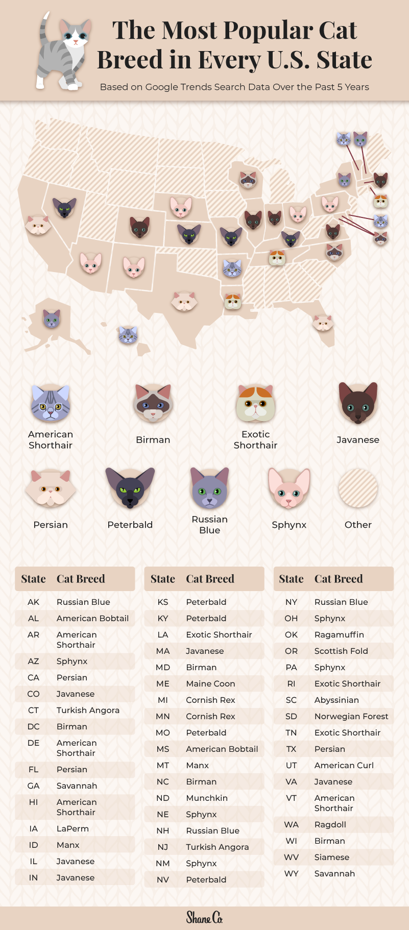 A U.S. map of the most searched cat breed in every state