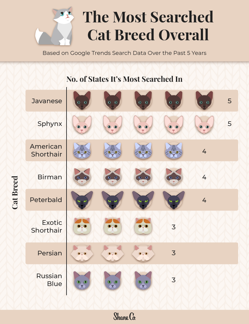 Bar chart to show the most popular cat breeds overall. 