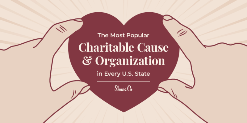 Introductory graphic for a blog about the top charitable causes and organizations in the U.S.