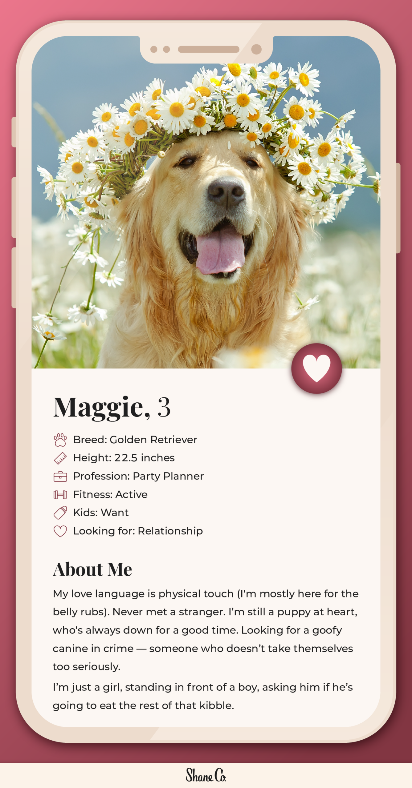 Graphic showing a fictional dating profile for a Golden Retriever
