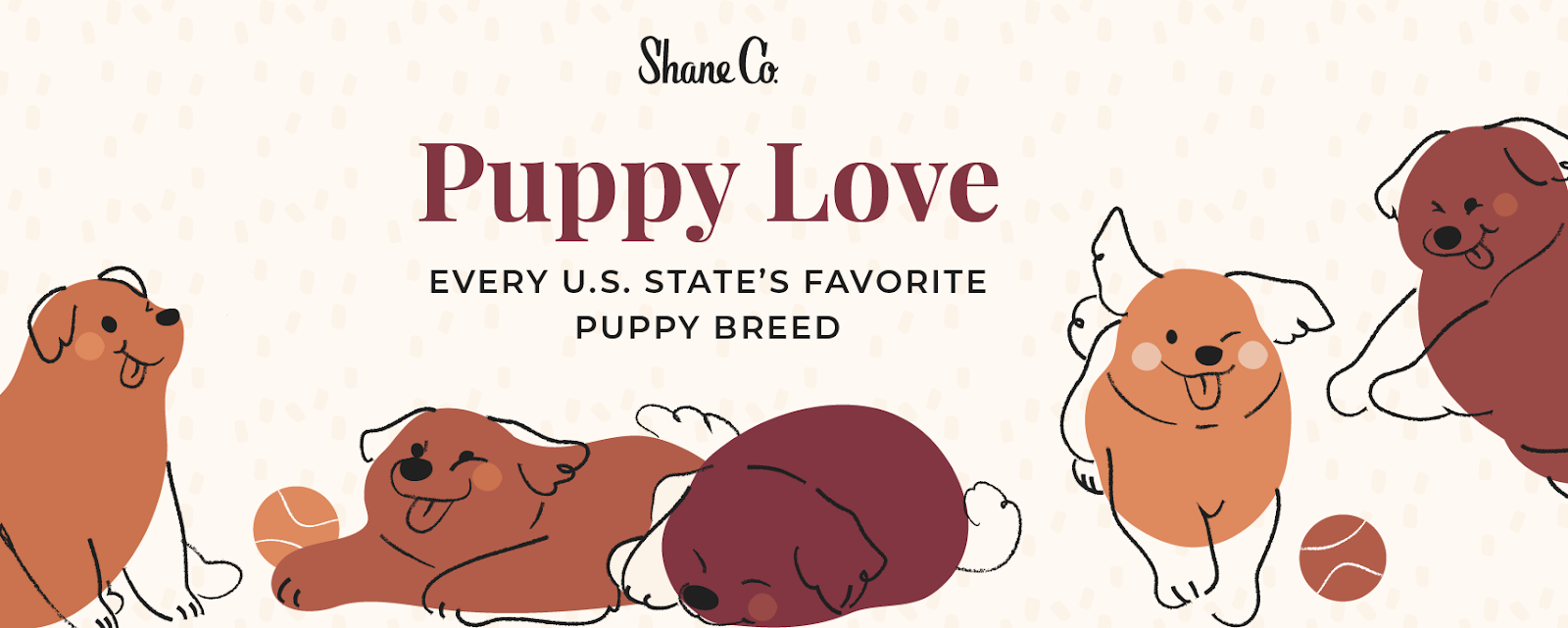 Title graphic for “Every U.S. State’s Favorite Puppy Breed”