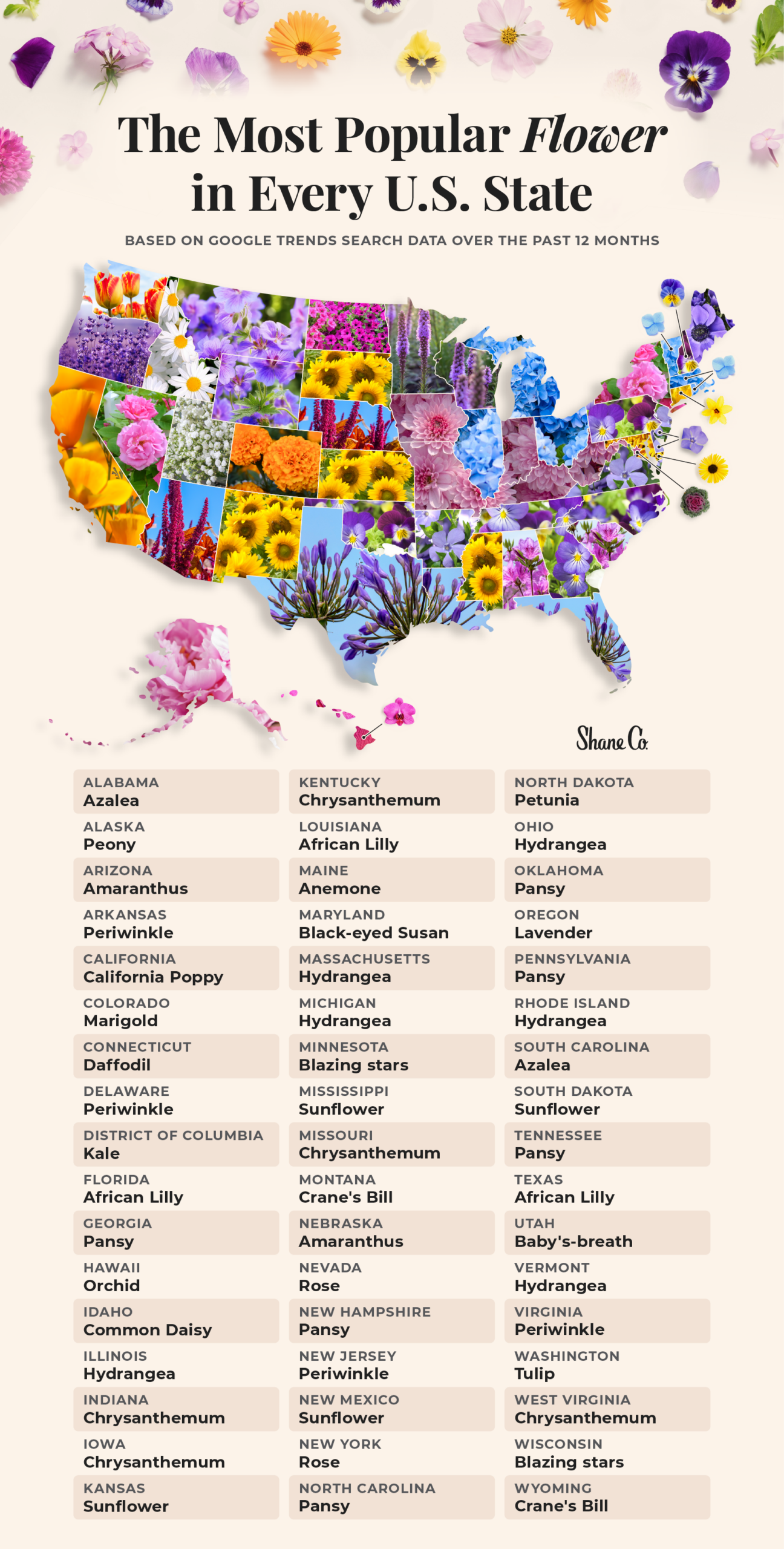 A U.S. map showing the most popular flower in every U.S. state