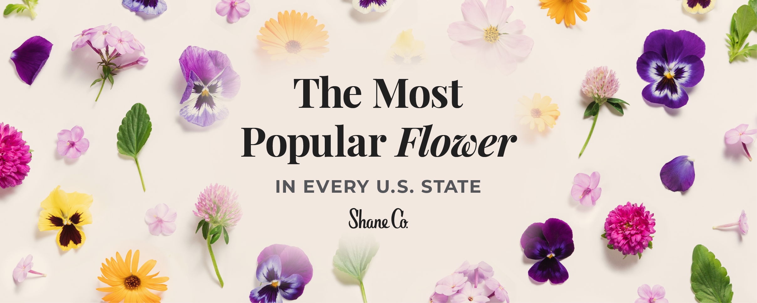 A header image for a blog about every state’s favorite flower