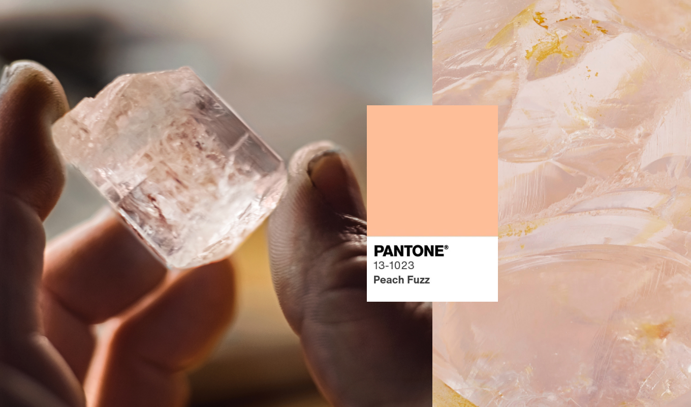 Pantone Color of the Year 2024: Peach Fuzz