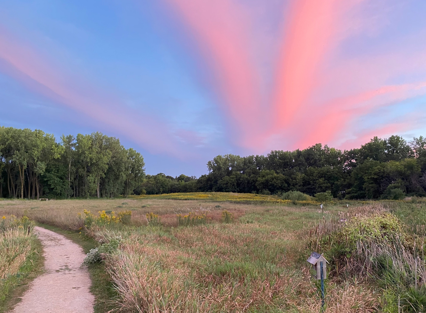 spend mother's day at wood lake nature center outside of minneapolis and st. paul