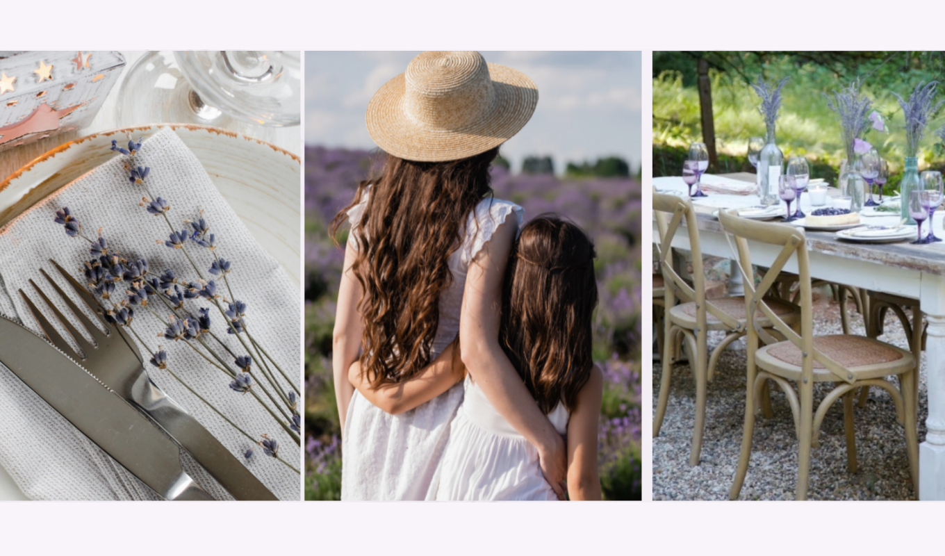 lavender farm in sacramento
