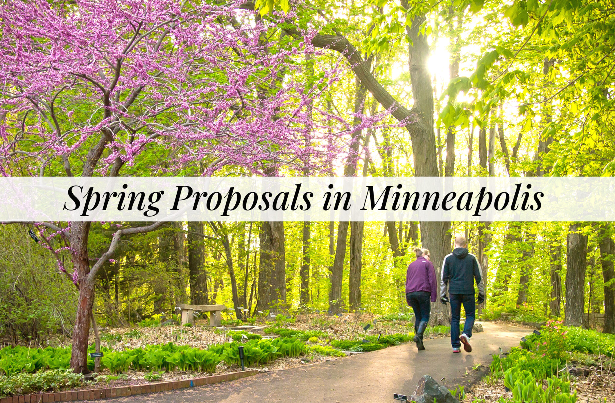 Spring Proposal Spots in Minneapolis