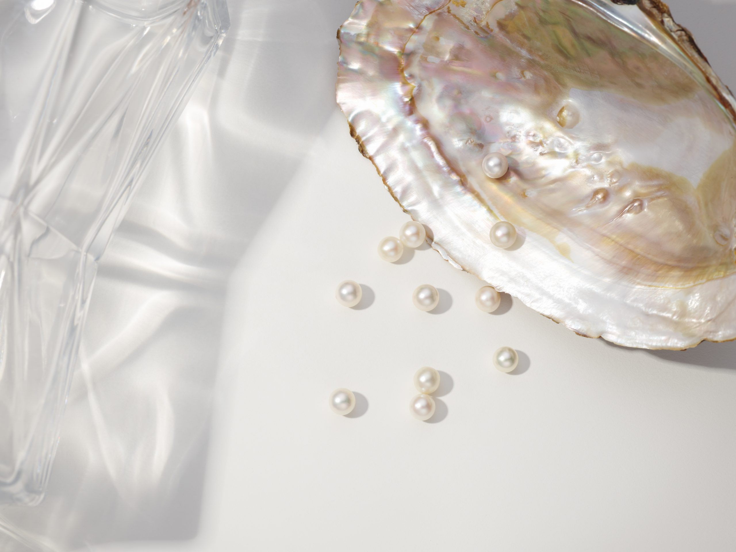 loose pearls and shell