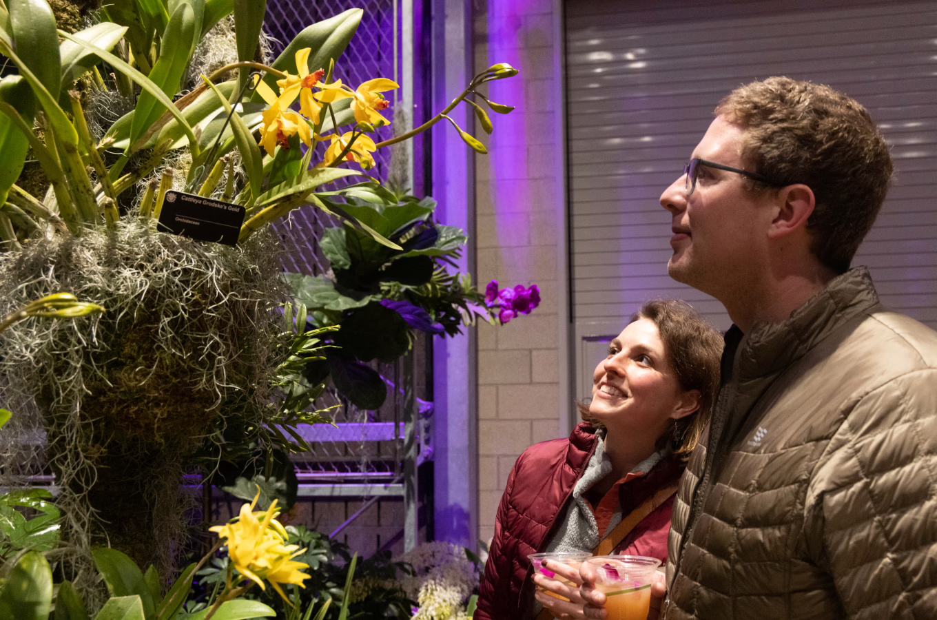 missouri botanical garden valentine's day